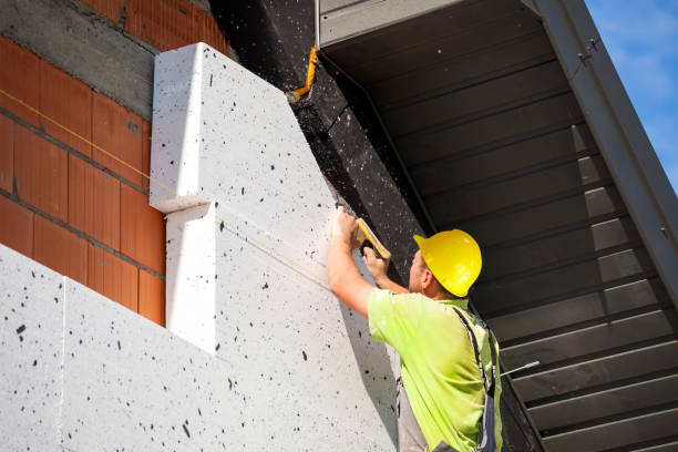 Professional Insulation Services in Jackson, MI